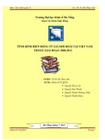 tình hình biến động tỷ giá hối đoái tại việt nam trong giai đoạn 2008-2012