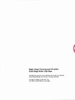 Báo cáo tài chính hợp nhất theo các chuẩn mực kế toán của công ty xuất nhập khẩu việt nam