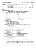 Đề thi Tin học lớp 3 - Trường TH Tân Bình