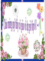 bai 19 .Đặc điểm bên ngoài của lá