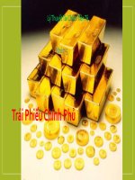 lý thuyết tài chính tiền tệ nhóm 5trái phiếu chính phủ