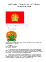 NGI THỨC ĐỘI THIẾU NIÊN TIỀN PHONG HỒ CHÍ MINH.