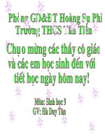 giáo án bồi dưỡng thao giảng, thi giáo viên dạy giỏi môn sinh lớp 9 bài 19 mối quan hệ giữa gen và tính trạng (6)