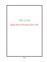 tiểu luận phân tích khả năng sinh lời (AAM)