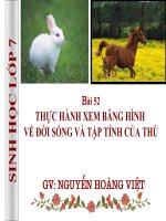 bài 52  THỰC HÀNH XEM BĂNG HÌNH   VỀ ĐỜI SỐNG VÀ TẬP TÍNH CỦA THÚ