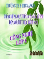 cong nghe 8-thao giang
