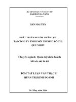 phát triển nguồn nhân lực tại công ty tnhh môi trường đô thị quy nhơn