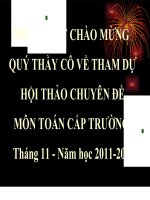 Chuyên đề: Sử Dụng bản đồ tư duy trong dạy học tích cực
