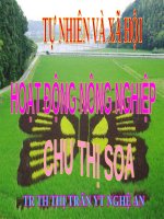 Hoạt động nông nghiệp - tuần 15