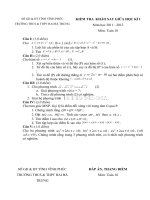 de thi khao sat giua ki 1 lop 10