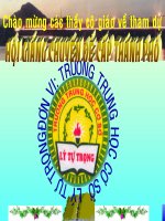 quyết và cây dương xỉ