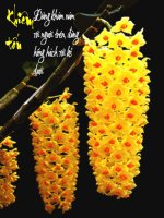 CHÂM NGÔN CUỘC SỐNG