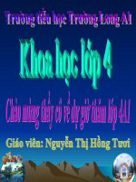 Phòng chống tai nạn đuối nước