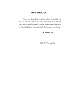 hoàn thiện môi trường thu hút đầu tư trực tiếp nước ngoài ở thành phố hà nội