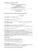 Đề thi HK1 năm học 2010 - 2011