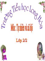 TGVG:Ôn tập- xã hội( K- Hiền)