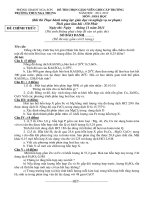 De+DA thi GVG truong (Hoa hoc)