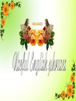 Useful English Phrases