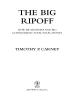 the big ripoff; how big business and big government steal your money (2006)