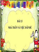 Ô CHỮ NHÀ TRẦN VÀ VIỆC ĐẮP ĐÊ