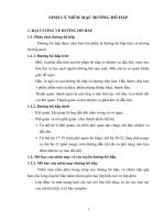 chuyên đề sinh lý niêm mạc đường hô hấp