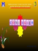 Lắp mạch điện ĐÈN ỐNG HUỲNH QUANG