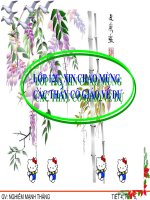 BÀI 33. SỰ PHÁT TRIỂN CỦA SINH GIỚI QUA CÁC ĐẠI ĐỊA CHẤT