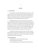 luận văn thạc sĩ cấu trúc đại số dây