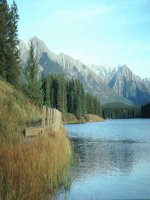 o nhiem moi truong o doi on hoa