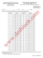 Đề thi trắc nghiệm Kinh tế Vĩ mô