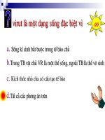 Bài 44: Sự nhân lên của virut trong tế bào