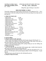 báo cao tháng 11 - TH Đồng Tâm B