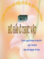 s11: hô hấp ở thực vật