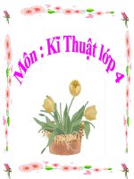kĨ THUẬT-DỤNG CỤ-VẬT LIỆU TRONG RAU HOA
