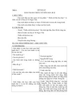 Giáo án Mỹ thuật 5-HK1