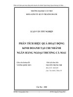phân tích hiệu quả hoạt động kinh doanh tại chi nhánh ngân hàng ngoại thương cà mau