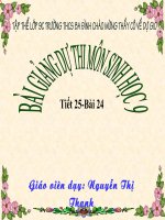 Tiết 25-Bai 24 Đột biến số lượng NST(tt)