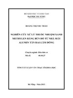 nghiên cứu xử lý thuốc nhuộm xanh methylen bằng bùn đỏ từ nhà máy alumin tân rai - lâm đồng