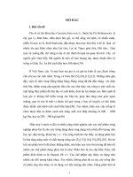 ảnh hưởng của chế phẩm organic 88 đến một số chỉ tiêu sinh lí, hóa sinh giống ớt f1 gm39