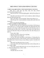 các thông số điện thần kinh trên lâm sàng