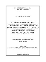 hạn chế rủi ro tín dụng trong cho vay tiêu dùng tại ngân hàng thương mại cổ phần ngoại thương việt nam, chi nhánh quảng nam