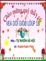 Tự nhiên xã hội