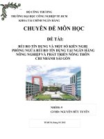 CHUYEN DE MON HOC:RỦI RO TÍN DỤNG VÀ MỘT SỐ KIẾN NGHỊ  PHÒNG NGỪA RỦI RO TÍN DỤNG TẠI NGÂN HÀNG NÔNG NGHIỆP VÀ PHÁT TRIỂN NÔNG THÔN  CHI NHÁNH SÀI GÒN