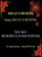 Tiết 43 - Môi trường và nhân tố sinh thái