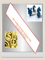 các nhân tố ảnh hưởng tới tỷ giá hối đoái