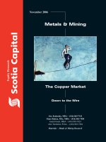 The Copper Market scotia capital (2006)