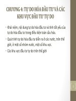 Tự do hóa đầu tư và các khu vực đầu tư