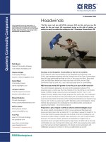 global commodities primer - rbs (2009)