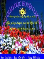 vùng biển nước ta ( Huyền Mỹ An)