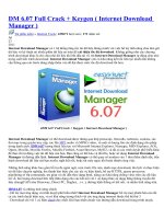 cách crack phần mềm daow  IDM